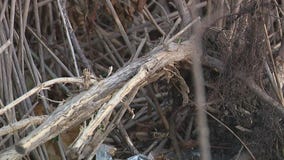 Surveying crew finds human skull in Wayne