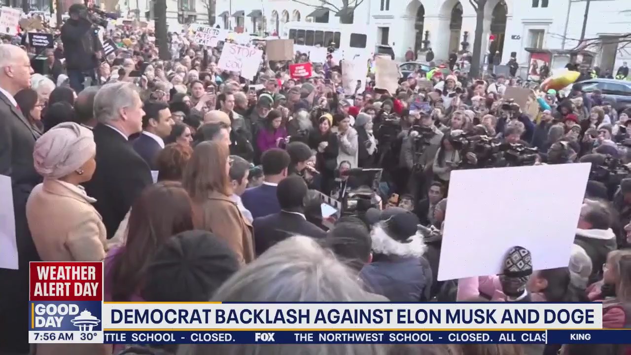 Democrat backlash against Elon Musk and DOGE