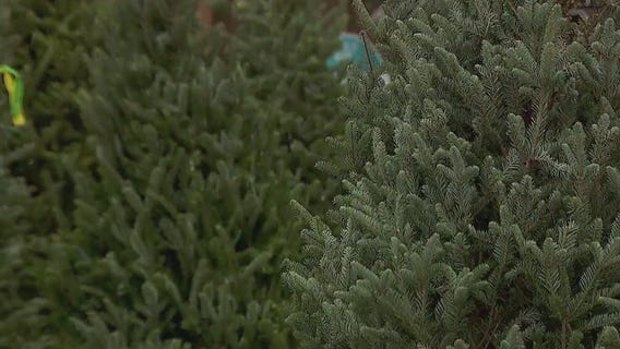 Christmas tree lot giving back to community