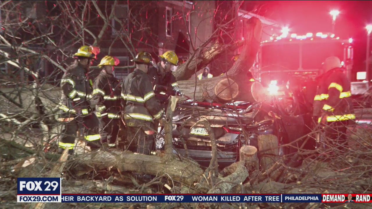 Woman killed after tree falls onto vehicle | FOX 29 Philadelphia