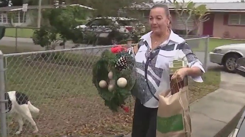 Florida's 'Christmas Tree Lady' spreading joy around the holidays