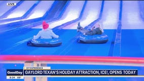 Gaylord Texan's holiday attraction Ice! opens today
