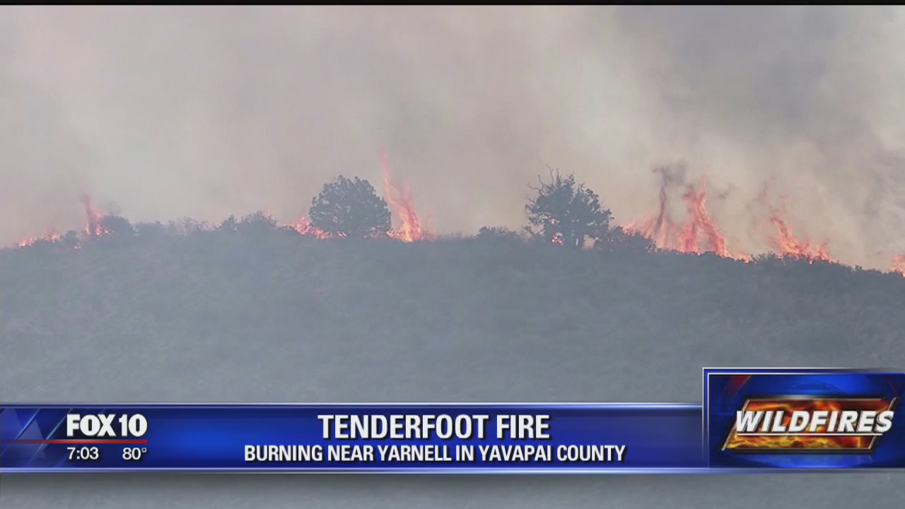 Tenderfoot fire update