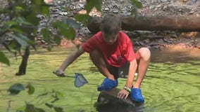 Four-legged fun at Atlanta's Critter Camp