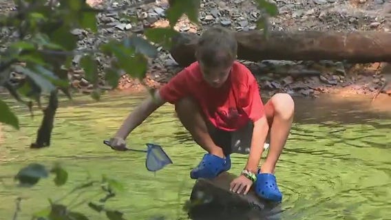 Four-legged fun at Atlanta's Critter Camp