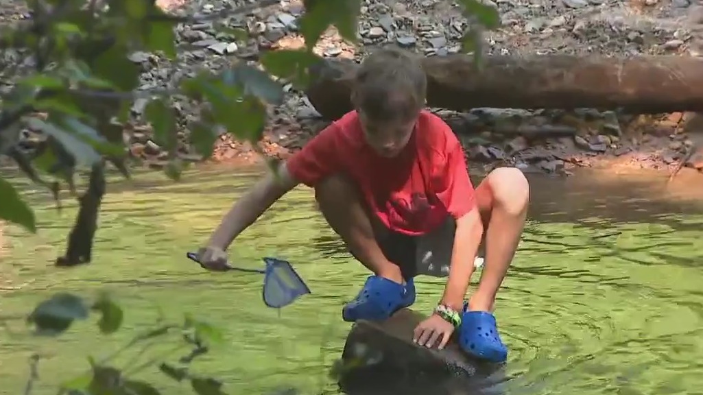 Four-legged fun at Atlanta's Critter Camp