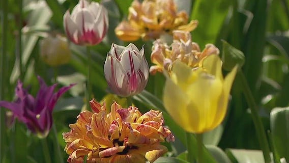 Dealing with the heat on Mother's Day