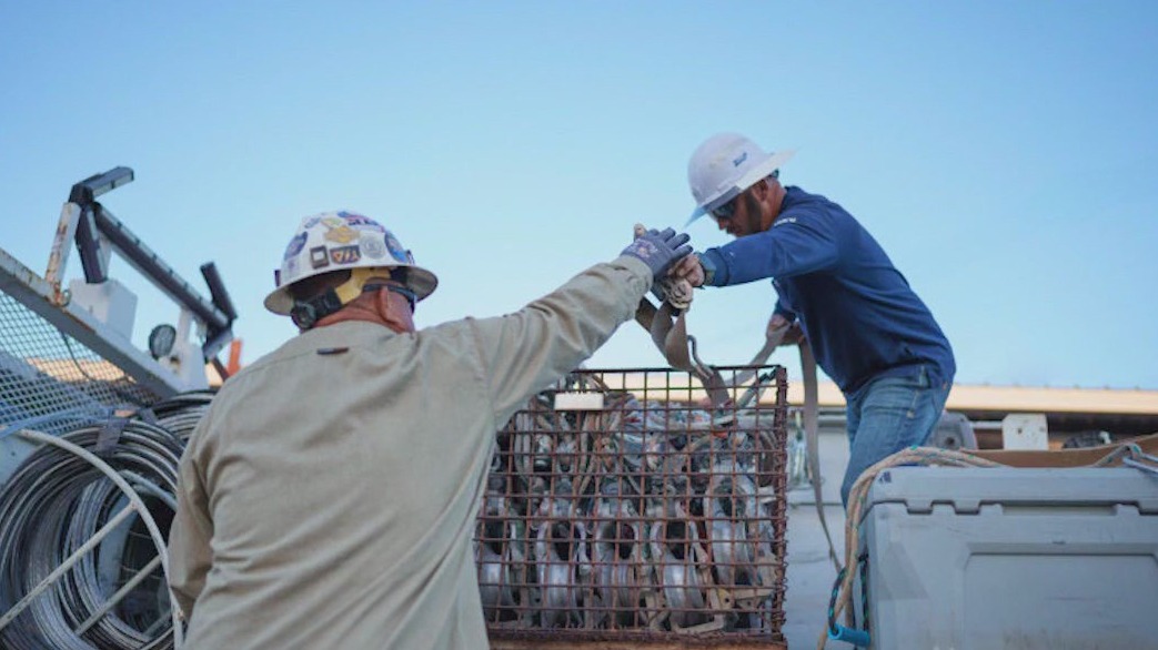 SRP brings electricity to Navajo Nation