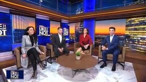 LION: November 25, 2025