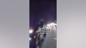 Runaway Highland cow causes highway chase in Ohio