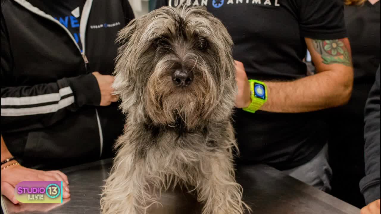 Watch Studio 13 Live full episode: Tuesday, Oct. 10