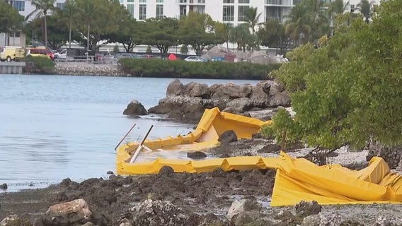 Repairing Bayfront Park