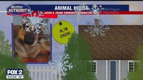 Welcome Chuck, Dusty, Capri