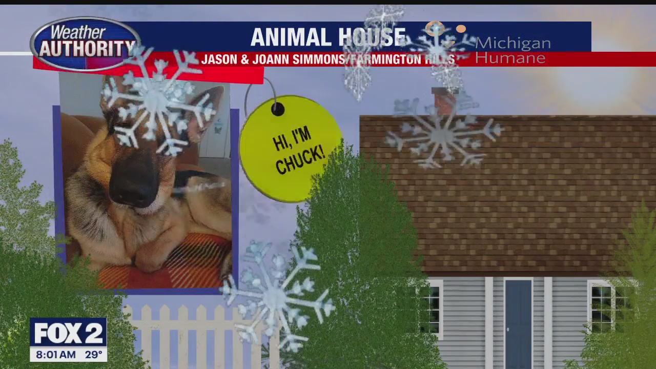 Welcome Chuck, Dusty, Capri