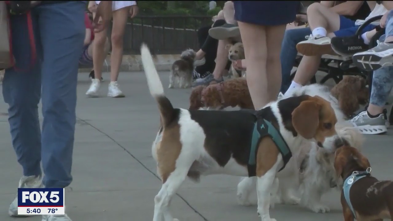 Survey finds pets play life-saving role for humans