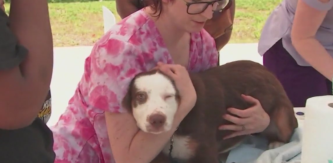 Free pet care in Fulton County