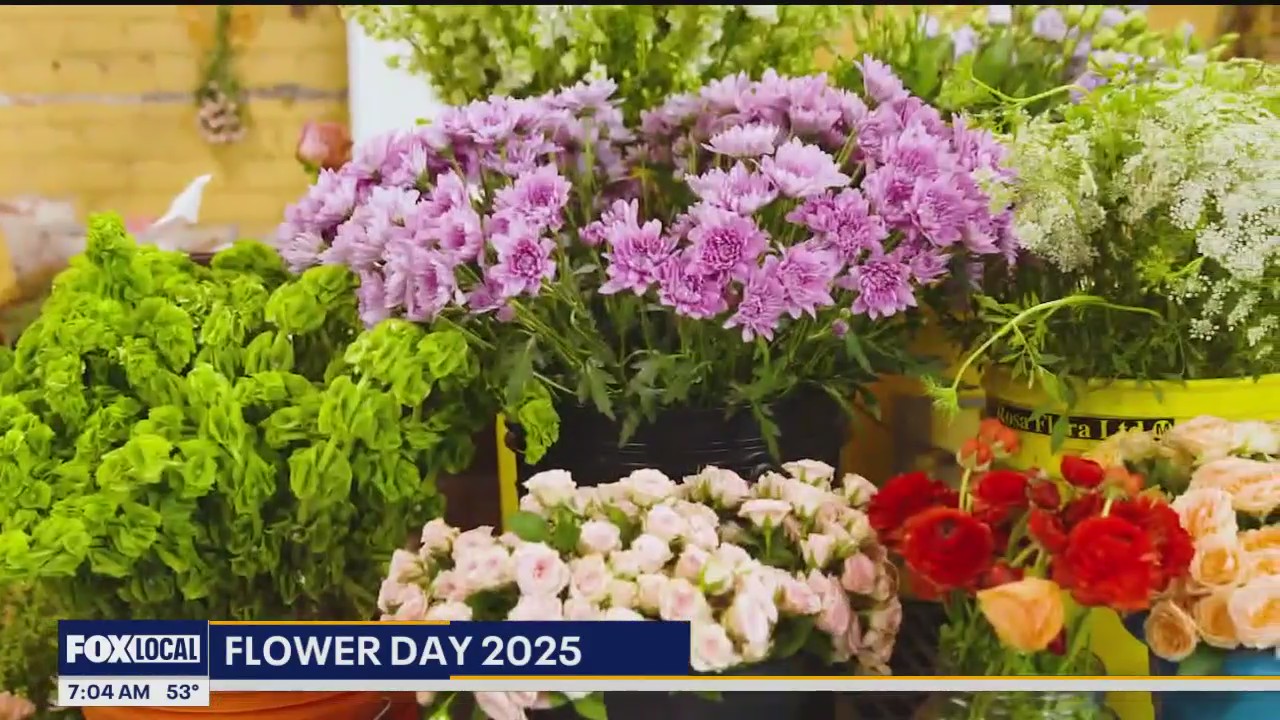 The magic of Eastern Market: beyond the sheds, into the storefronts