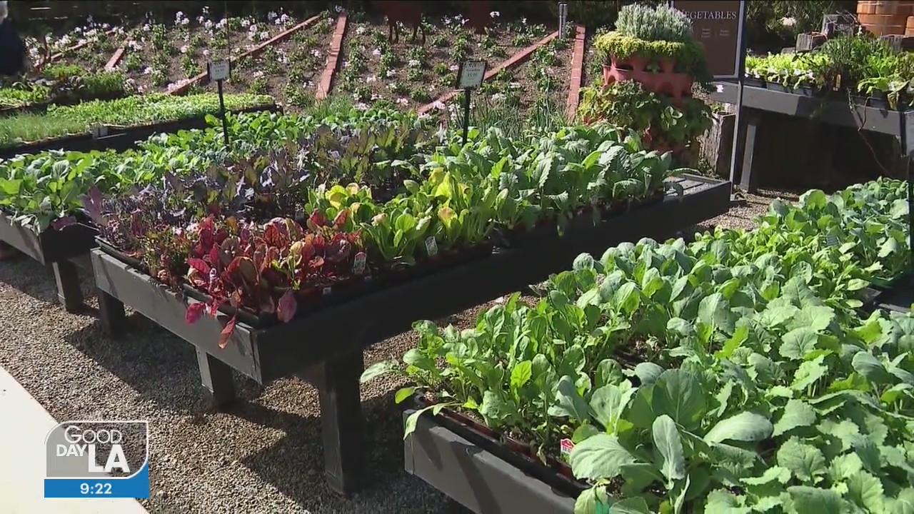 Tips for preparing your garden for Winter