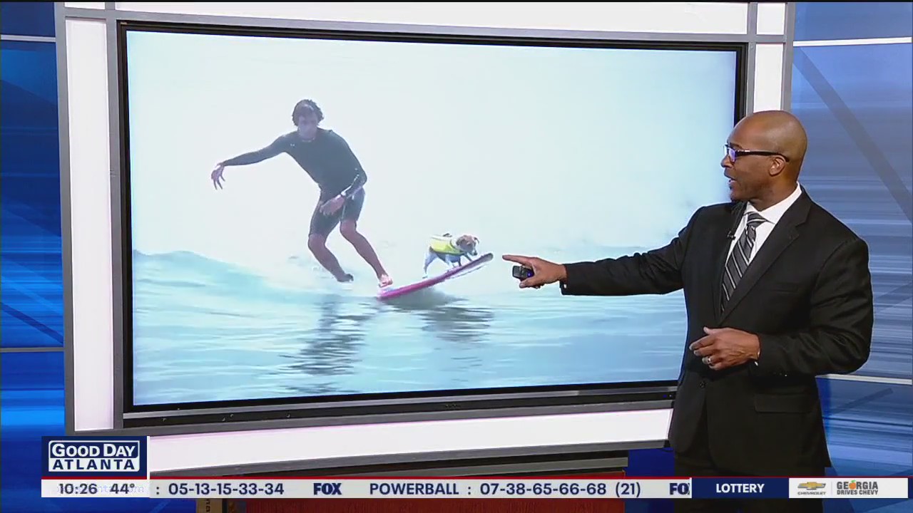 Dog goes surfing with owner in Peru