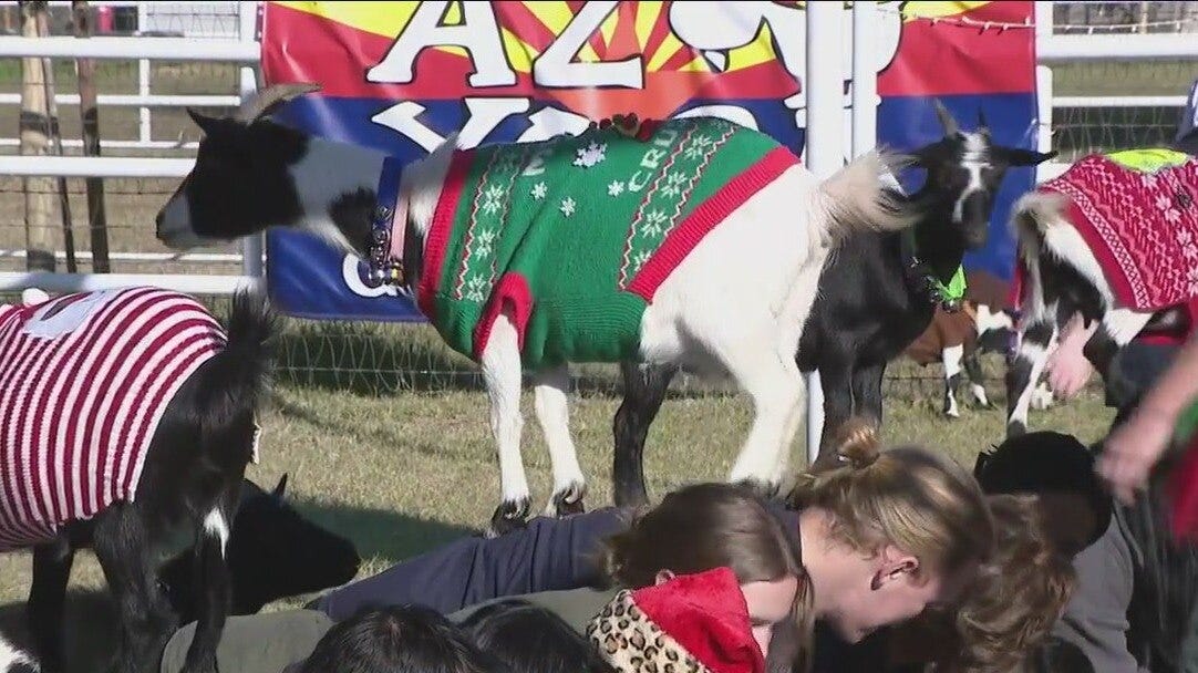 Pairing goats with yoga this holiday season