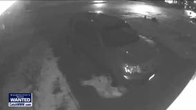 WANTED: Sinister serial vehicle brake-cutting suspect