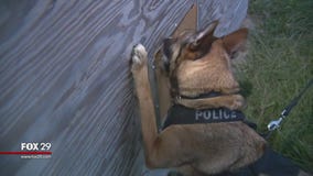 K9 praised for role in large Mercer County drug bust