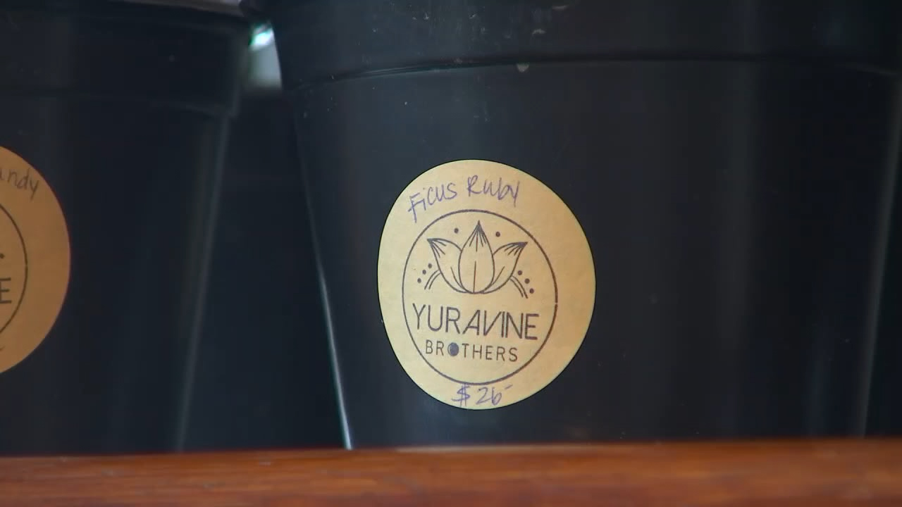 Plant company helps you give gifts that keep giving