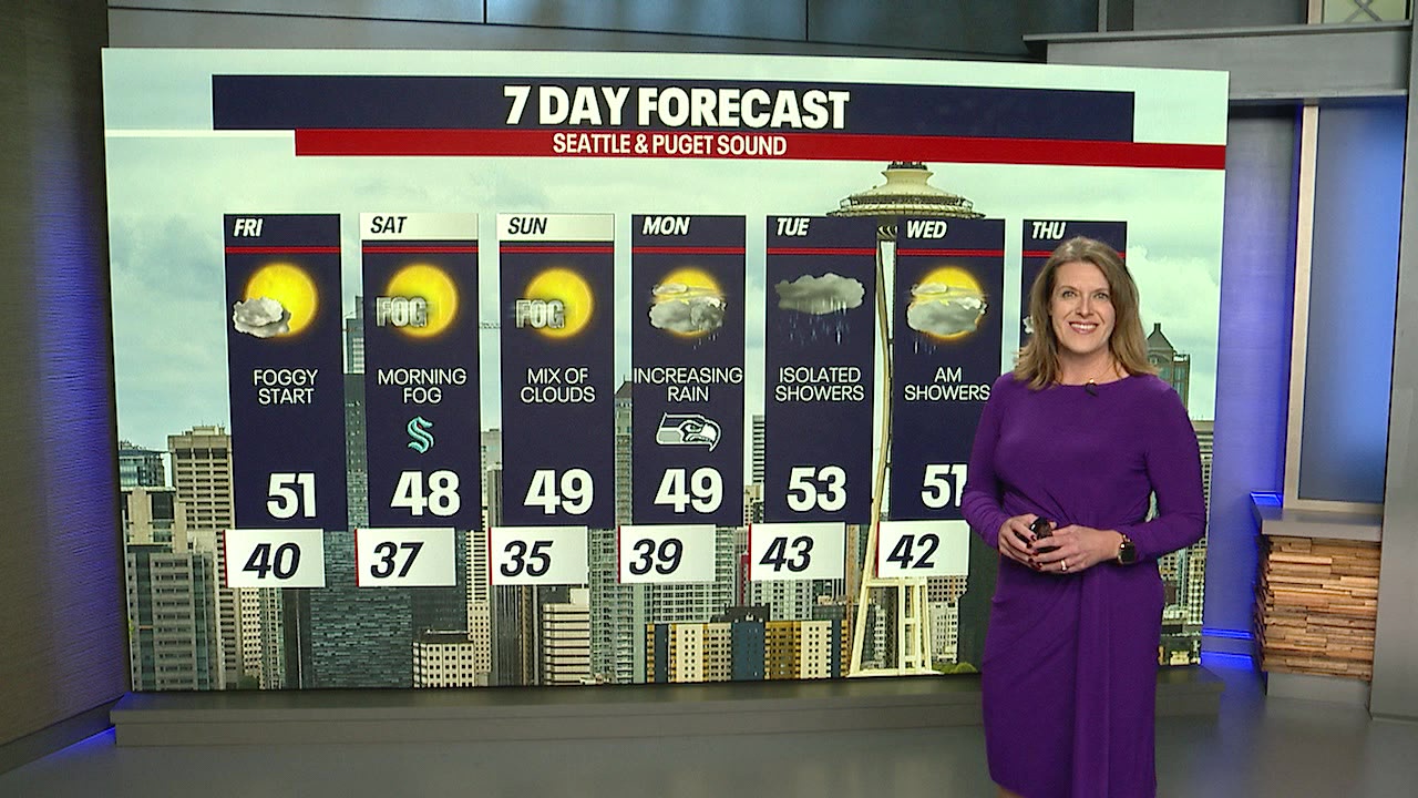 Foggy, cloudy weekend ahead, rain returns next week