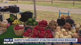 Murphy's Farm Market open at Dalton Farms as they recover from hit-and-run crash