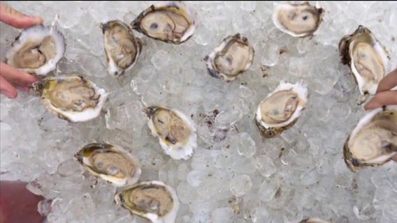 Tampa Oyster Festival happening this weekend