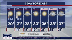NYC weather forecast