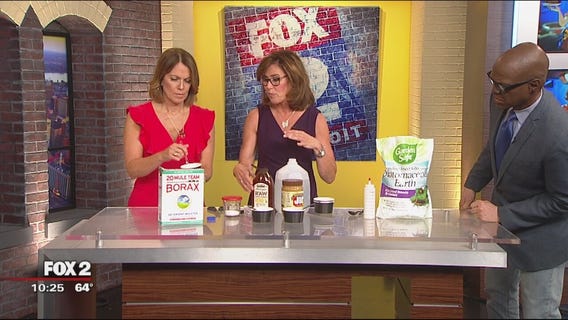 Jill of All Trades shows us how to kill ants without harsh chemicals