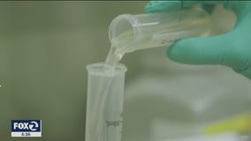 UC Berkeley scientists tracking COVID-19 through sewage