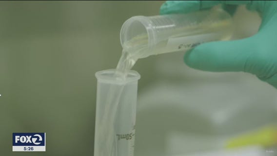 UC Berkeley scientists tracking COVID-19 through sewage