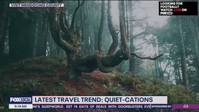 A new vacation trend spotlight