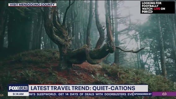 A new vacation trend spotlight