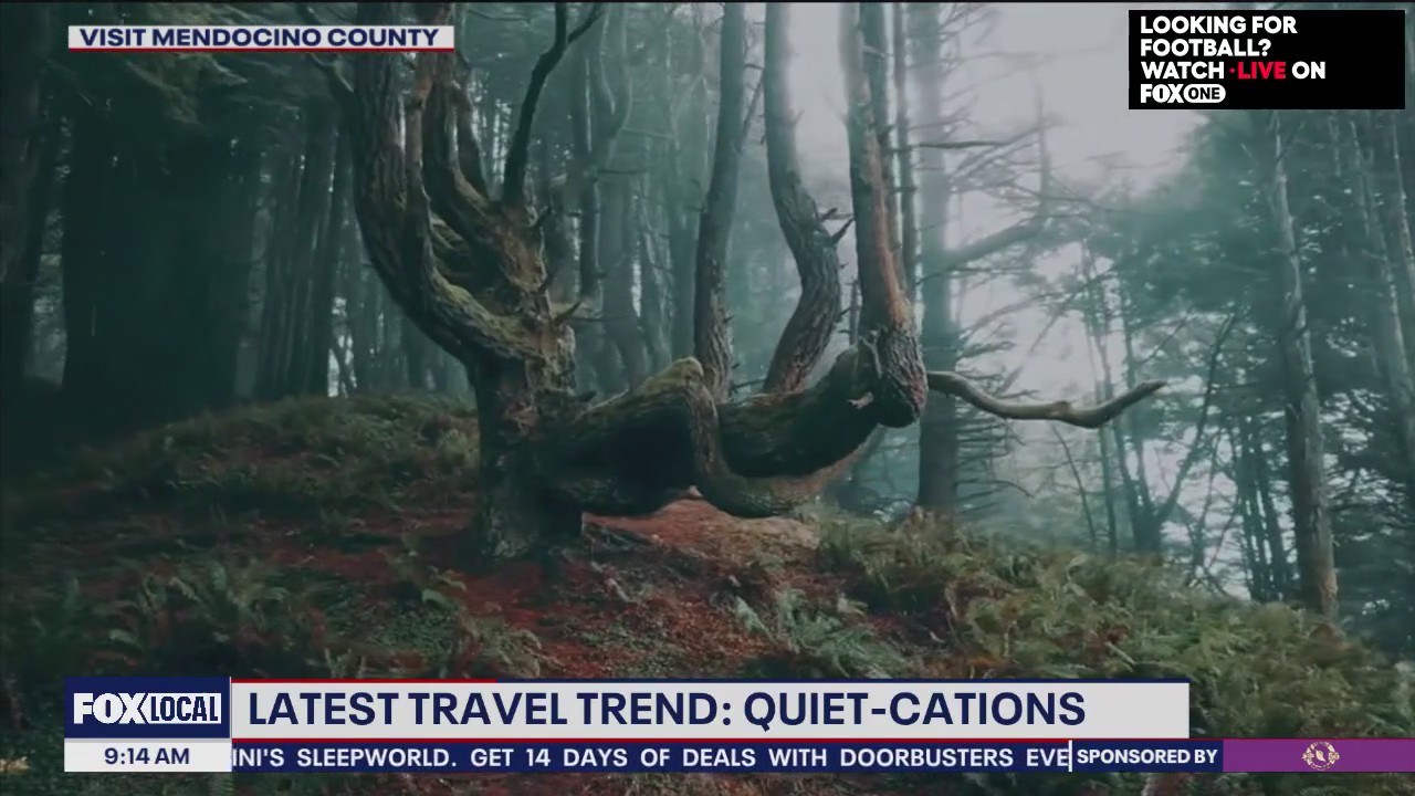 A new vacation trend spotlight