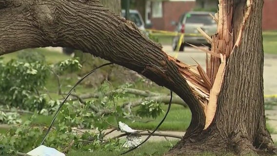 Tornado confirmed in Fraser