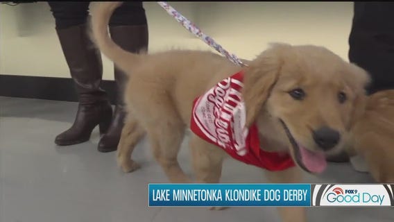 Lake Minnetonka Klondike Dog Derby hosting cutest puppy contest