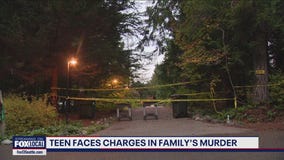 Teen accused of family's murder appears in court