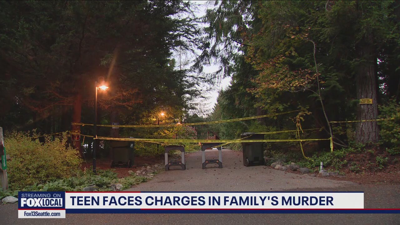 Teen accused of family's murder appears in court