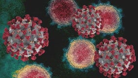 COVID, flu cases rise across U.S.
