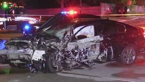 Teen charged in deadly Elk Grove Village crash