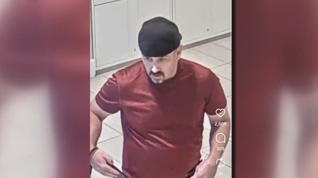 Backstreet Boys lookalike suspected of porch pirating