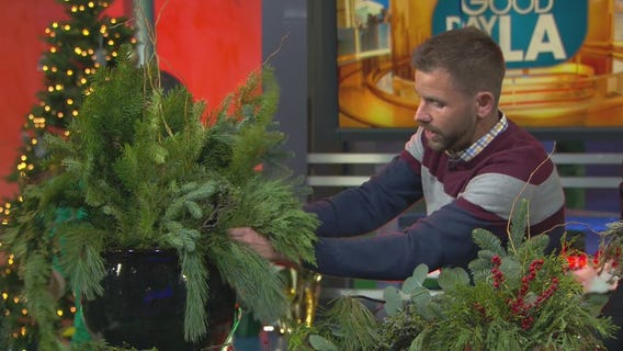 Plants make a great holiday gift -- here's how to get the designer look for less