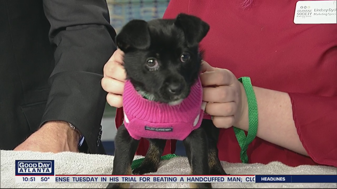 Pet of the Day: February 19, 2020