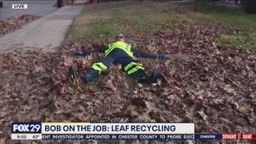 Bob On The Job: Leaf Recycling