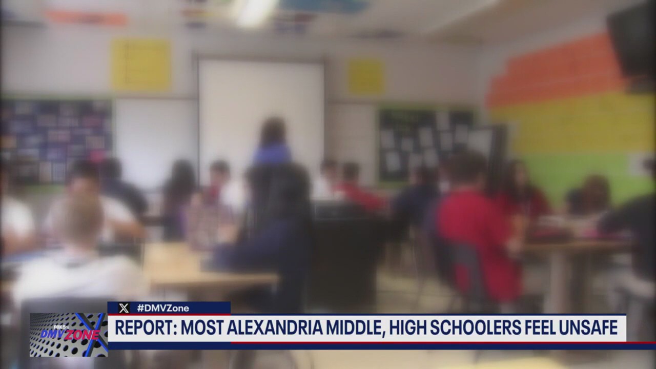 Most students in Alexandra feel unsafe, report says