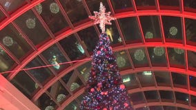 Christmas trees going up around Houston