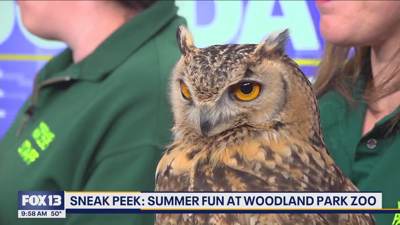 Summer fun at Woodland Park Zoo